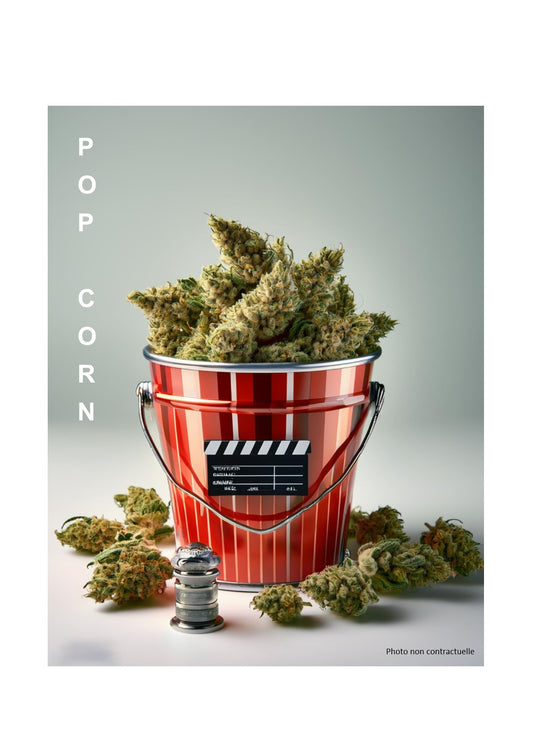 Pop Corn CBD