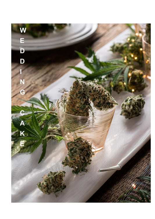 Wedding Cake CBD