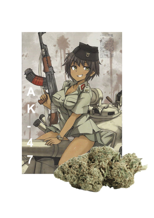 AK-47 CBD Indoor